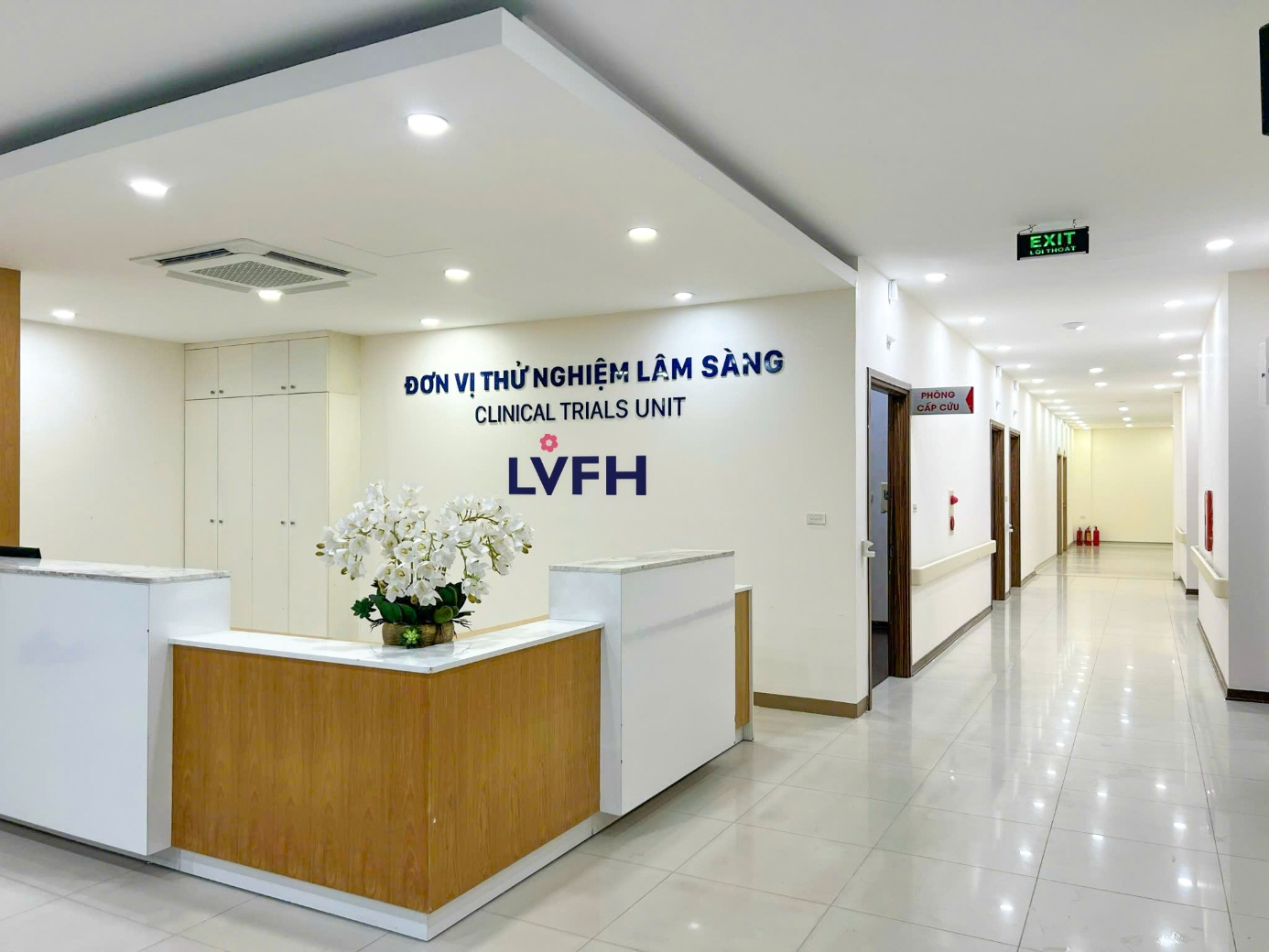 photo-1783936456255-17839364568291819688357 Khám Phá Trách Nhiệm Đạo Đức Trong Nghiên Cứu Lâm Sàng Tại Việt Nam- Ảnh 1.