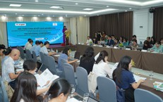 Rác Thải Tràn Lan Trên Phố Hoàng Hoa Thám: Giải Pháp Nào Cần Được Áp Dụng?