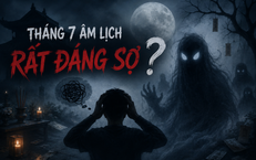 Người Chủ Xe Ô Tô Trả Giá Đắt Với 96 Vi Phạm Giao Thông