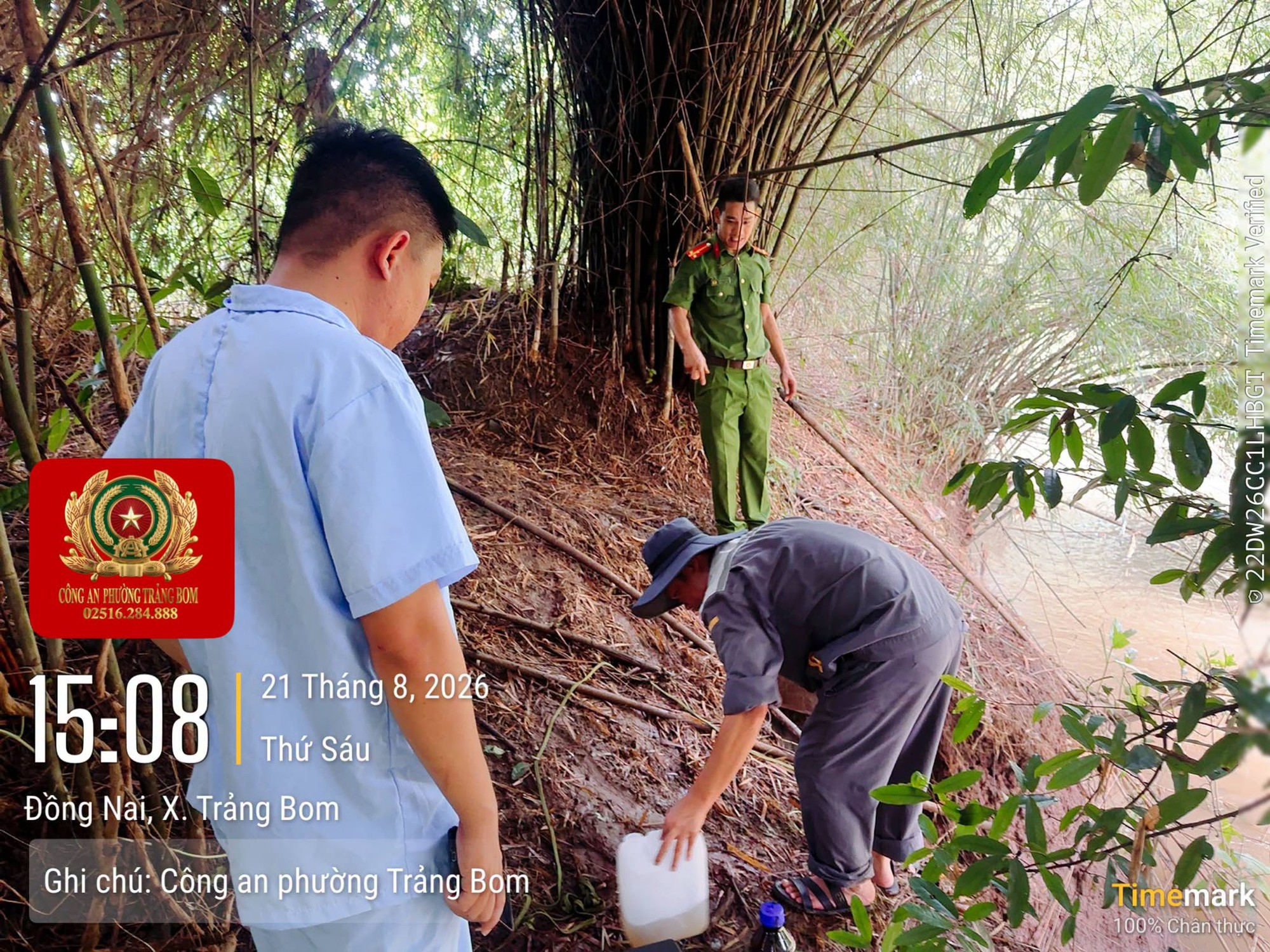 1000059174-1787567727575772654358 Phát hiện trang trại nuôi lợn xả nước thải ra suối- Ảnh 1.