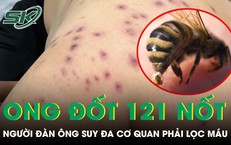 Sự Nguy Hiểm Của Việc Chần Chừ Trước Những Triệu Chứng Sức Khỏe