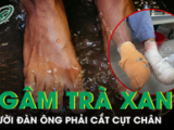 Cập Nhật Mới Nhất Về Huấn Hoa Hồng: Những Diễn Biến Quan Trọng