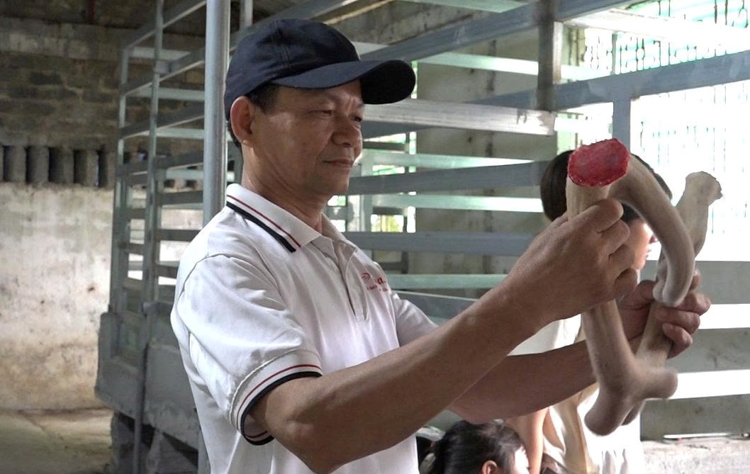 Hành Trình Khởi Nghiệp Của Chàng Kỹ Sư Trong Ngành Chăn Nuôi Hươu
