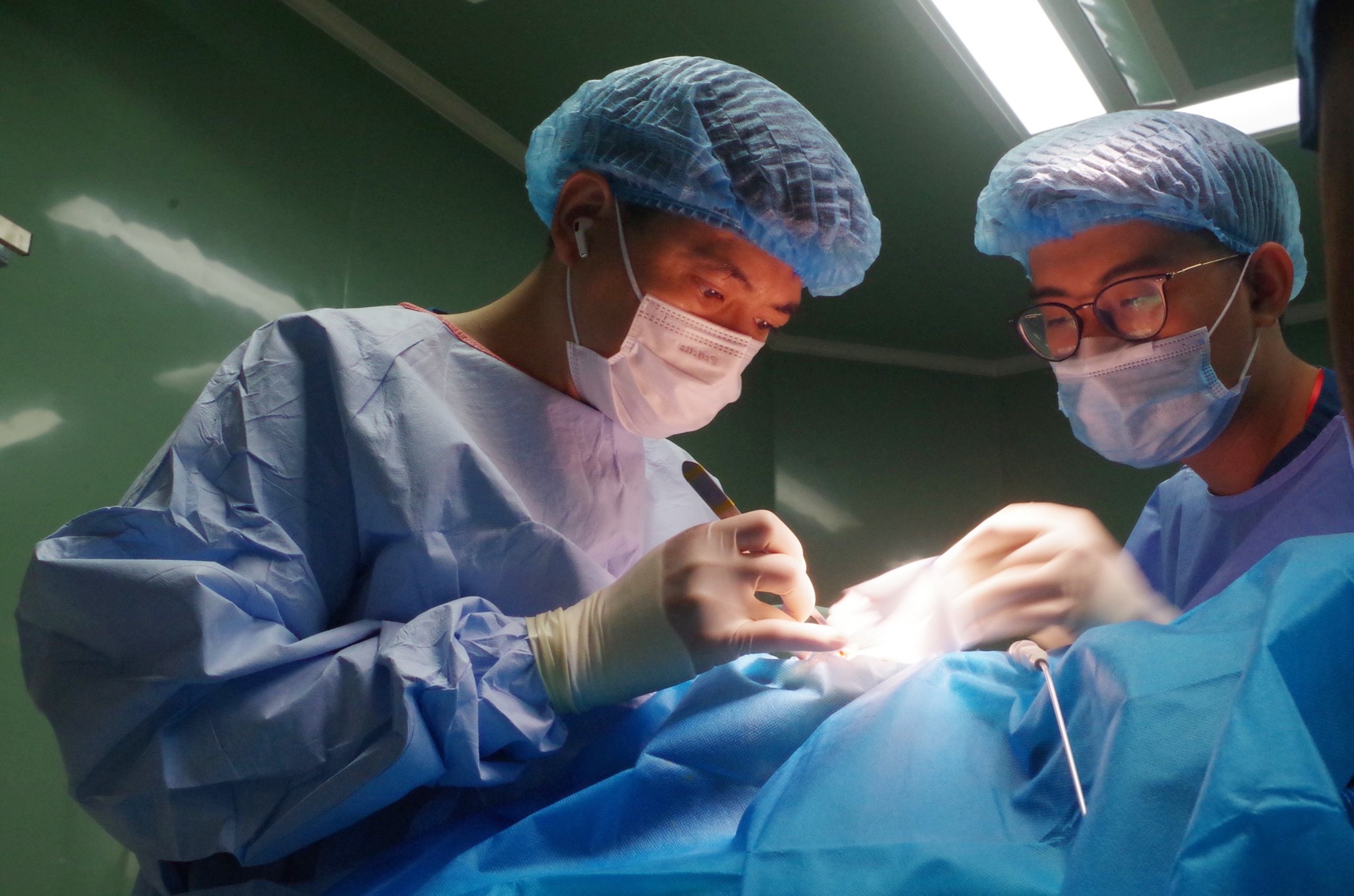 Cuộc Gặp Gỡ Đặc Biệt Giữa Bác Sĩ Việt và Hành Khách Mỹ Trên Không Trung