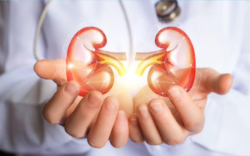 Sử Dụng Statin Cho Người Bệnh Thận Mạn: Khi Nào Và Cần Lưu Ý Gì?