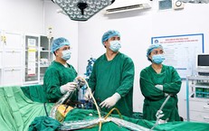 Hà Tĩnh Đối Phó Với Sốt Xuất Huyết: Cập Nhật Tình Hình Dịch Bệnh