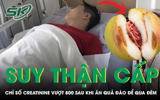 Sự Cố Đáng Tiếc: Phụ Nữ Qua Đời Vì Bị Ong Vò Vẽ Tấn Công