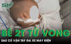 Cảnh Báo An Toàn Về Việc Ăn Quả Đào Qua Đêm: Nguy Cơ Không Ngờ Tới