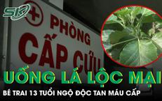Khám Phá Tầm Quan Trọng Trong Kiểm Soát Bệnh Tim Mạch
