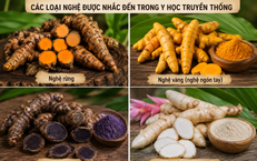 Đi bộ 2 km mỗi ngày: lợi ích thực tế và cách duy trì lâu dài