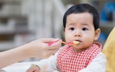 Cảnh Giác Với Mướp Đắng: Ai Nên Tránh Sử Dụng?