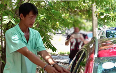 Sự Kiện Đáng Chú Ý: Voi Rừng Xâm Nhập Trường Học Ở Sơn La