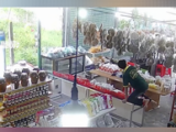 Sự Thật Thú Vị Về Ung Thư Máu: Không Phải Là Kết Thúc