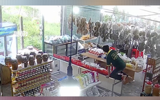 Sự Thật Thú Vị Về Ung Thư Máu: Không Phải Là Kết Thúc