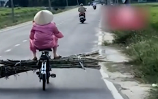 Câu Chuyện Thương Tâm Về Cái Chết Của Bé Gái 9 Tuổi Vì Bệnh Dại