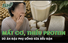 Câu Chuyện Ngược Đời: Khám Phá Tác Hại Khi Ăn Thịt Chó Để Tăng Cường Sức Khỏe
