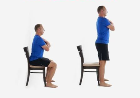 Hình minh họa squat với ghế Squat với ghế - Ảnh 5.