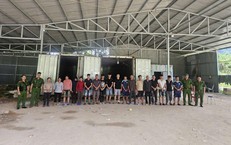 Chiến Dịch Truy Tìm Tên Cướp: Hành Trình Đầy Kịch Tính Của Nạn Nhân