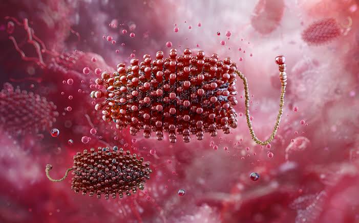 Bùng Nổ Virus Chandipura: Cảnh Báo Tử Vong Tại Ấn Độ