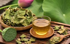 Khám Phá Trải Nghiệm Sống Khỏe Như Người Nhật và Hàn Tại Hà Nội