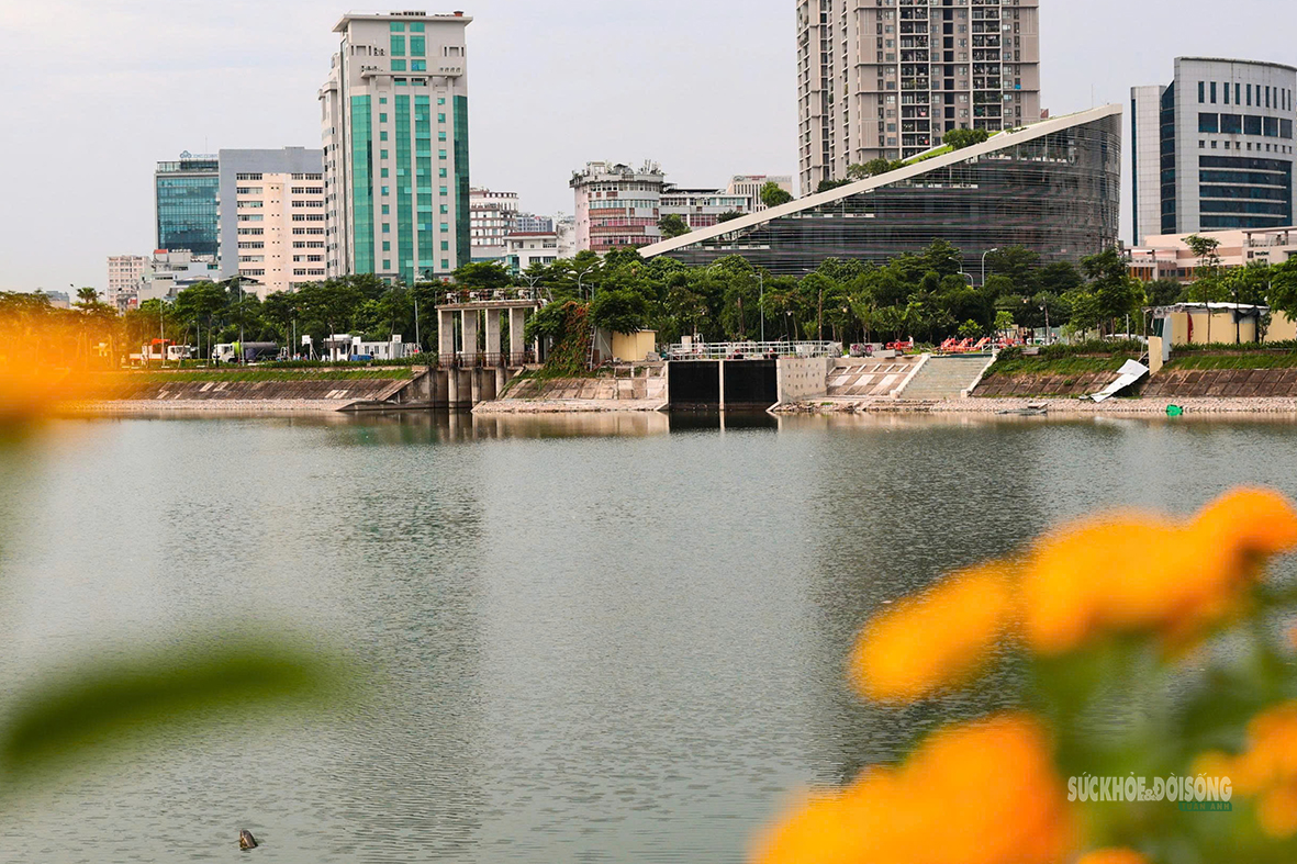 Công Viên An Hòa: Điểm Đến Lý Tưởng Cho Hoạt Động Thể Chất