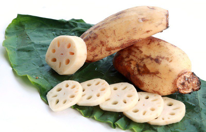Củ sen tươi. Củ sen tươi. Ảnh AI.