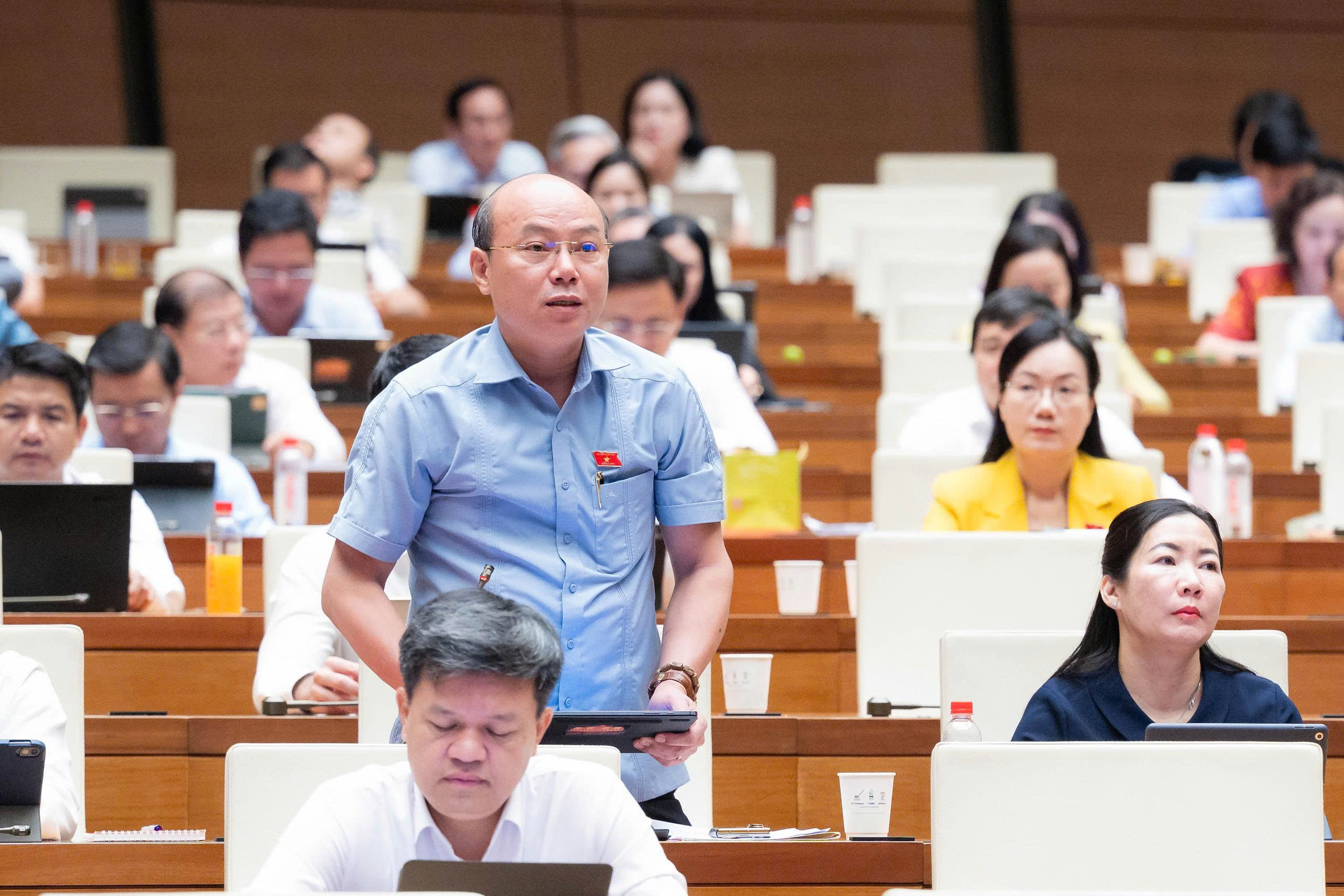 Thảo Luận Về Việc Thành Lập Thành Phố Quảng Ninh: Những Ý Kiến Đáng Chú Ý