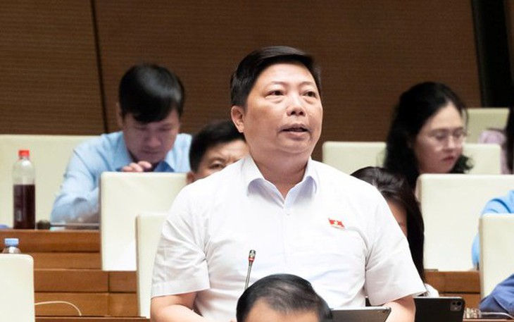 ĐBQH Tô Ái Vang: Cần can thiệp sớm để giảm suy dinh dưỡng thấp còi ở trẻ- Ảnh 4.