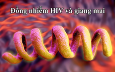 Giải Pháp Tăng Cường Sinh Lý Nam Giới: Lựa Chọn An Toàn Và Hiệu Quả