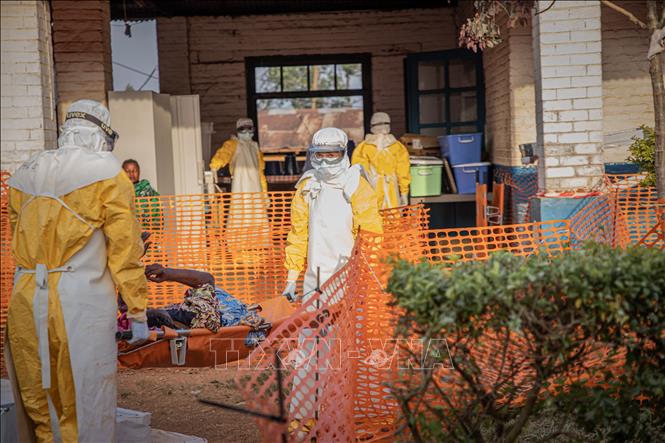 ebola-310726-1786622072502-17866220730351590219821 - Ảnh 1.