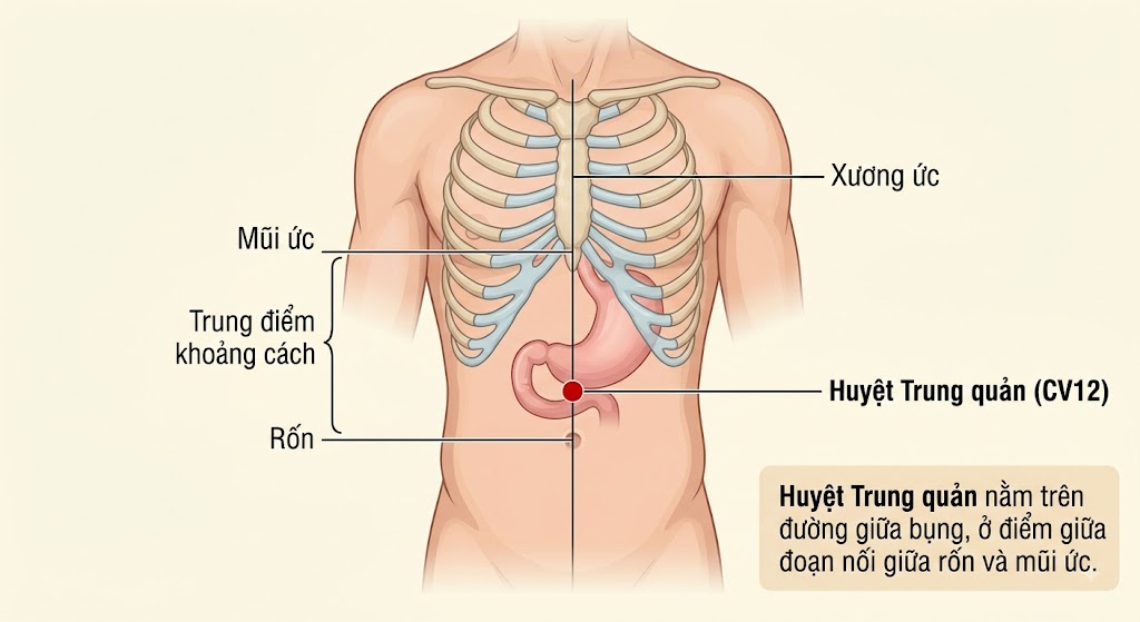 Xoa bóp trị liệu cho bệnh dạ dày: kỹ thuật, huyệt quan trọng và những lưu ý