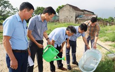 Cảnh Báo Về Viêm Ruột Thừa Ở Trẻ: Nguyên Nhân và Biện Pháp Sát Suất