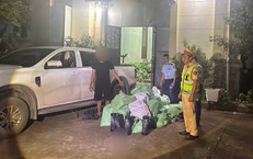 Hành Trình Giúp Đỡ: Người Bác Sĩ Trên Núi Tuyên Quang