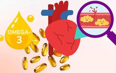 Kết Nối Chuyên Gia Tại Diễn Đàn Y Học Bào Thai: Định Hướng Mới Cho Ngành Y Tế Việt Nam
