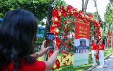 Khám Phá Vụ Án Bí Ẩn Tại Biên Giới An Giang: Từ Thi Thể Đến Nghi Phạm