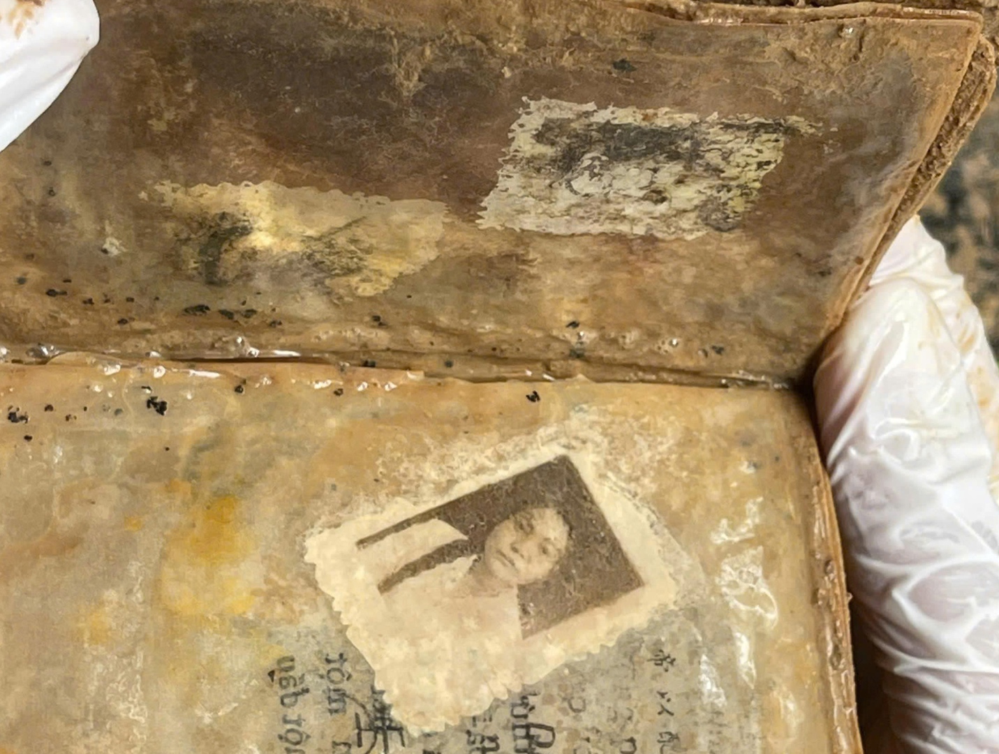 photo-1786172874875-17861728751731607169505 Phát hiện ảnh chân dung người phụ nữ trong mộ liệt sĩ chưa xác định danh tính- Ảnh 1.
