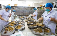 Tầm Quan Trọng Của Quỹ Bảo Hiểm Y Tế Trong Chăm Sóc Sức Khỏe