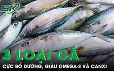 Khám Phá Công Dụng Của Cây Dại Ven Suối Đối Với Người Tiểu Đường