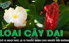 7 Thói Quen Thiết Yếu Để Tăng Cường Tuổi Thọ