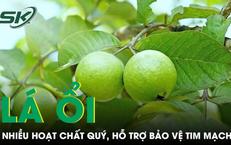 Một Trường Hợp Đặc Biệt: Cậu Bé 14 Tuổi Nhập Viện Vì Xuất Huyết Tiêu Hóa Nghiêm Trọng
