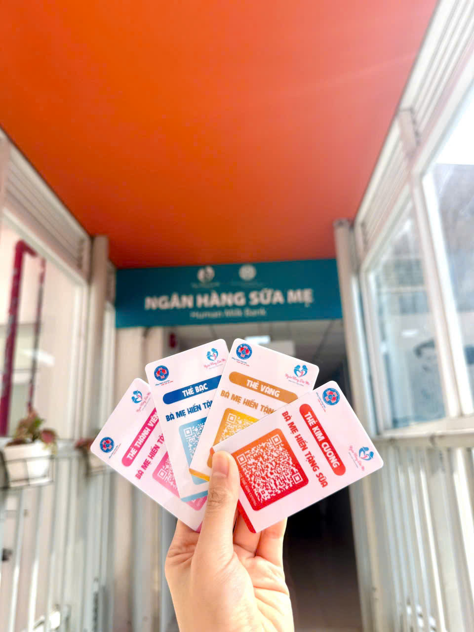 Những Hiểu Lầm Thú Vị Về Sữa Mẹ: TS Võ Thị Ngọc Diệp Cảnh Báo