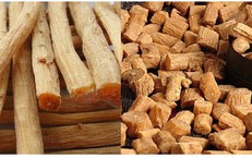 Hồi sức cấp cứu: Lộ trình chuyển sang chăm sóc chuyên sâu, chính xác và cá thể hóa