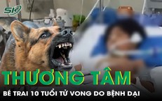 Bé Yêu Gặp Nạn: Cấp Cứu Khẩn Cấp Sau Vụ Viêm Ruột Thừa Vỡ