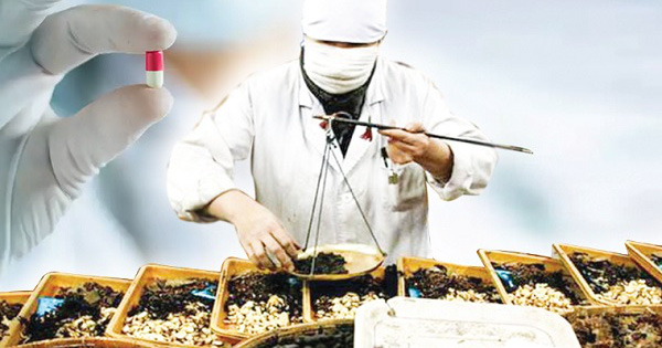 Du lịch y tế Việt Nam