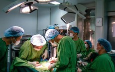 Vụ Cắn Chó Kinh Hoàng: Cảnh Báo Về Sức Khỏe Trẻ Em