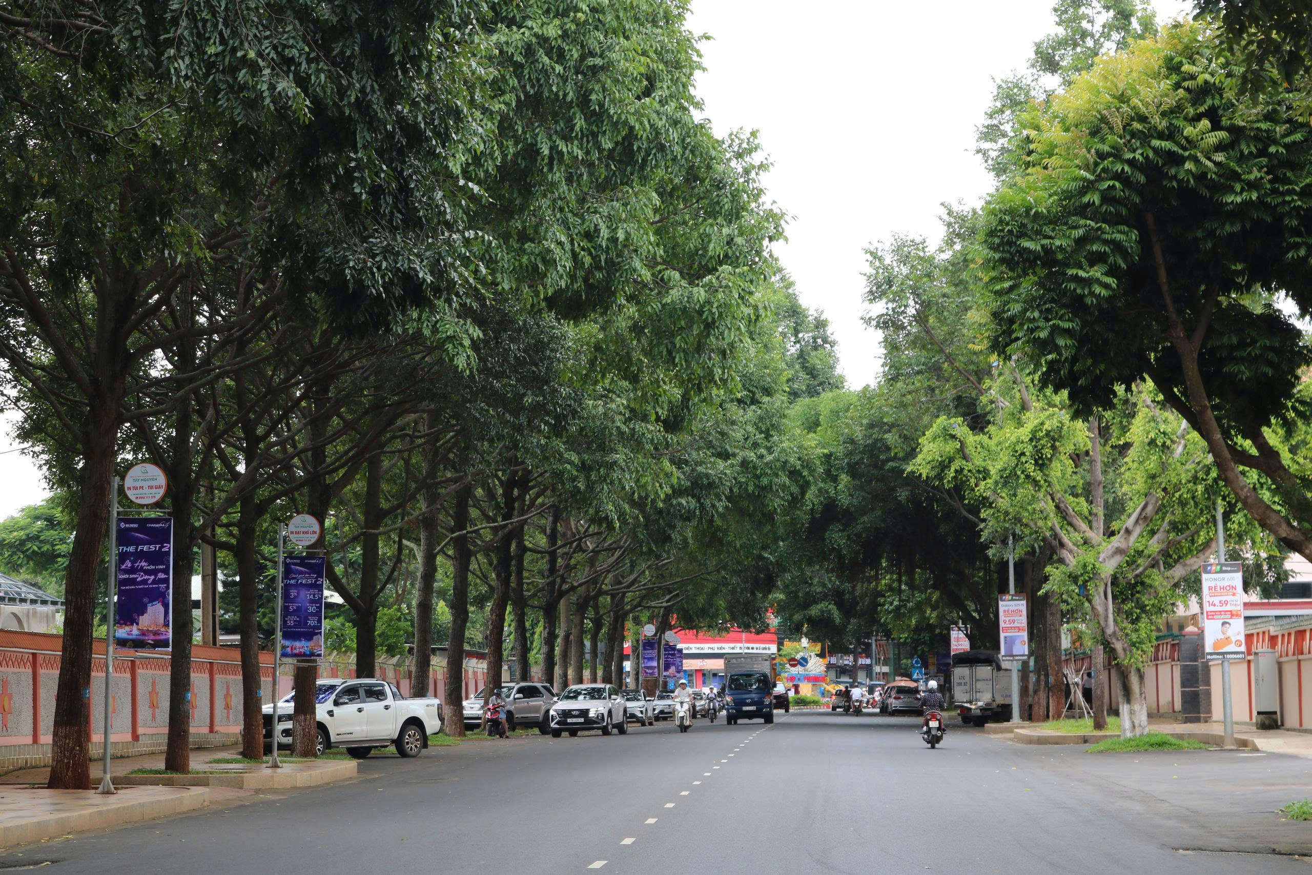 Cây xanh tại Buôn Ma Thuột Cây xanh tại Buôn Ma Thuột