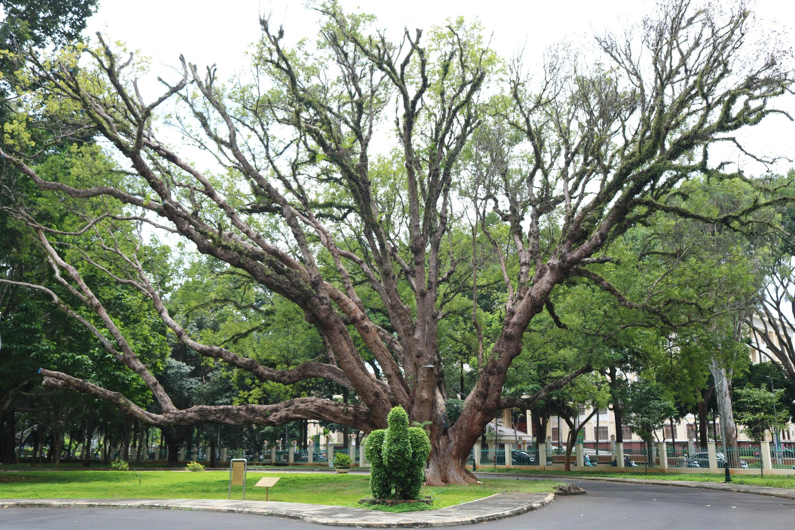 Khám Phá Đô Thị Xanh: Buôn Ma Thuột – Rừng Trong Phố