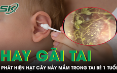Câu Chuyện Cảnh Giác: Hệ Lụy Của Việc Ép Cân Quá Đà