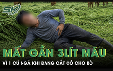 Khi một video y tế gây chấn động: cách đọc, kiểm chứng và phản ứng có trách nhiệm