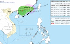 Kỷ Niệm 81 Năm Quốc Khánh: Những Điện Và Thư Chúc Mừng Quốc Tế